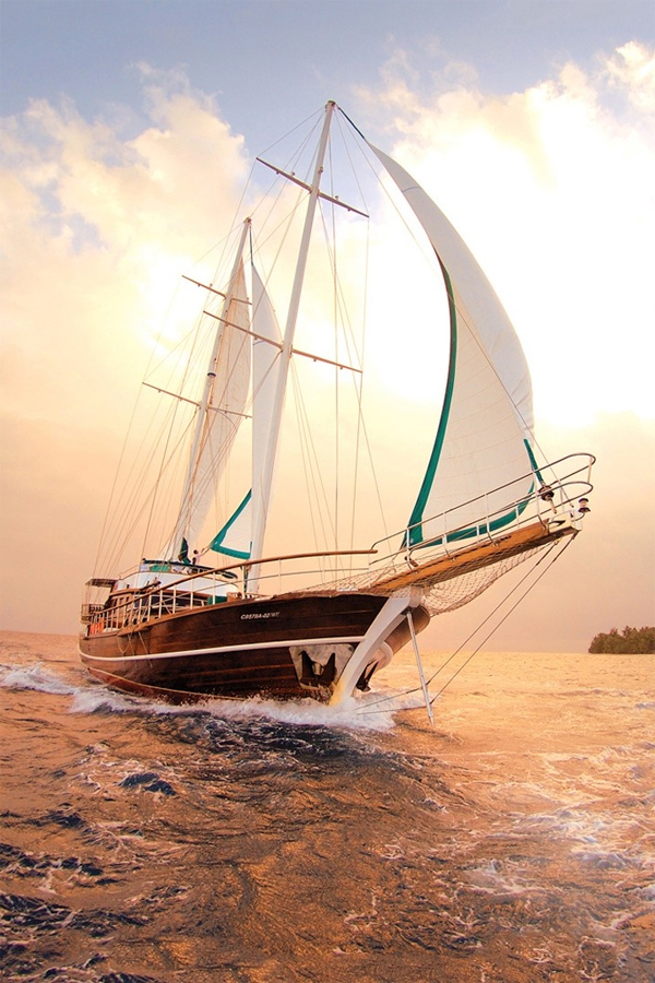 Seajee electric